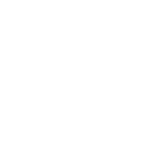 Logo Centaur Cargo